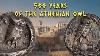 500 Years Of The Athenian Owl An Introduction