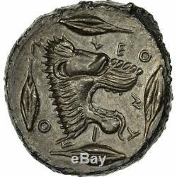 #510852 Coin, Sicily, Leontini, Tetradrachm, Silver, SNG ANS223, HGC2-667