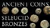 Ancient Coins Seleucid Bronze Coins