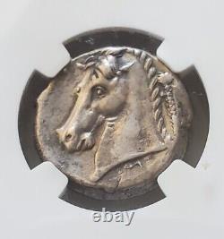 Sicily Siculo-Punic Entella Tetradrachm NGC XF Ancient Silver Coin