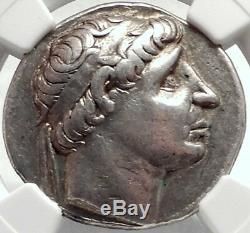 Antiochus II Theos Seleukid Ancien Tétradrachme D'argent Grec Monnaie Ngc I68744
