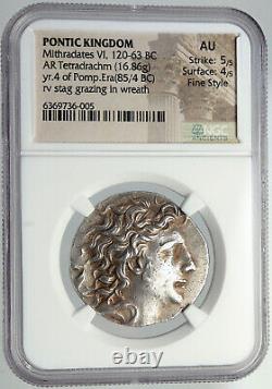 Mithradates VI La Grande École D'argent Antique Greek Tetradrachm Coin Ngc