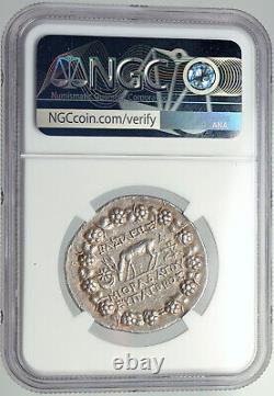Mithradates VI La Grande École D'argent Antique Greek Tetradrachm Coin Ngc