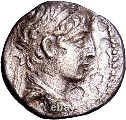 RARE Royaume Séleucide. Tyr. Démétrios II Nikator 129-125 av. J.-C. Didrachme en argent AR
