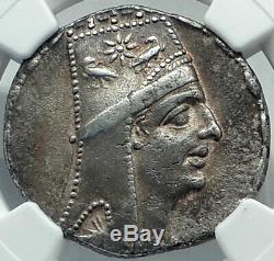 Tigranes II 80bc Authentique Ancienne Pièce De Monnaie Grecque En Argent Arménien Arménie Ngc Ch. Xf